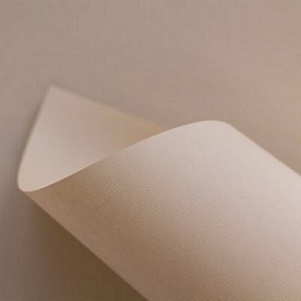 Papel SIRIO COLOR 80g 8.5x11" nude